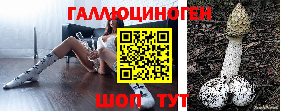 Псилоцибиновые грибы Cubensis Ессентуки