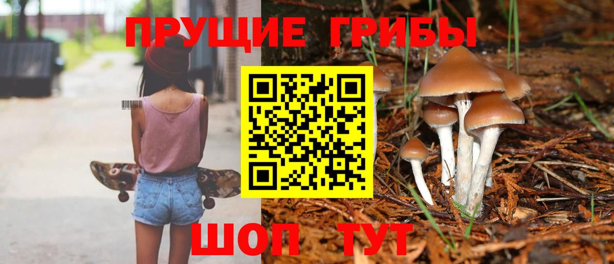 Ессентуки  Галлюциногенные грибы мицелий  Галлюциногенные грибы Magic Shrooms  Вход с VPN 